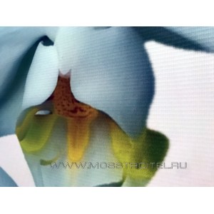 Ширма со скрытым каркасом Орхидея